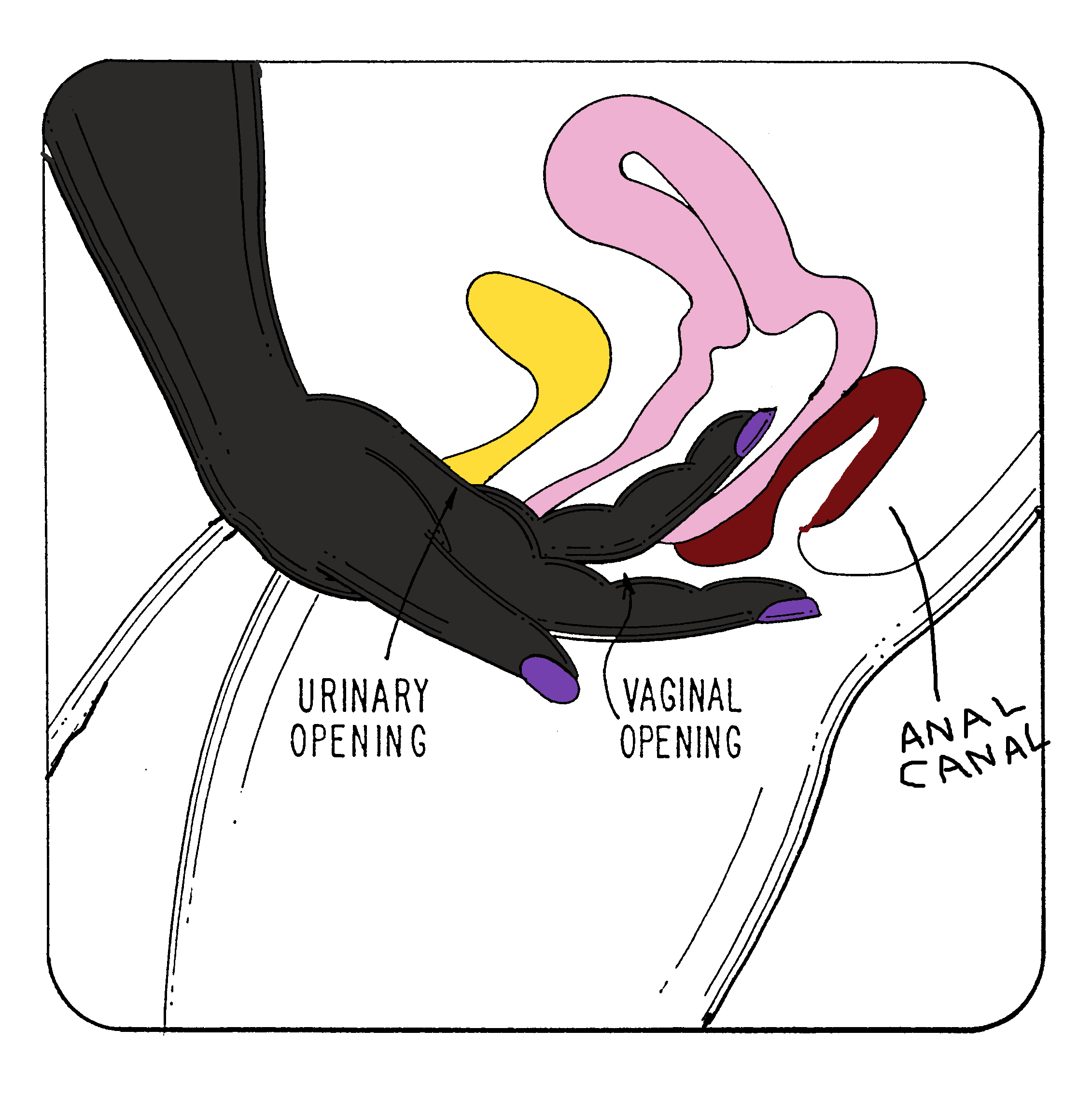 Fingering Penis 6